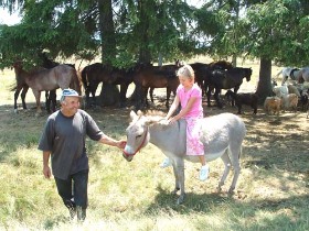 turizmus, program lehetőség, ajánlatok